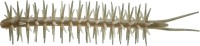 HIDE-UP Koike Straight Elastomer 140mm #242 Ebi Dappi