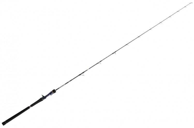 DAIWA Saltiga R J62B-2 TG (Jigging Model)