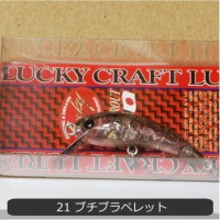 OFFICE EUCALYPTUS Wah 37F #21 Buchi Bura Pellet