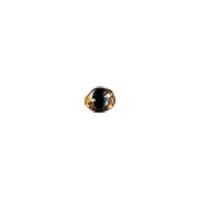 SMITH Crystal Dome Eye 4.8 mm Gold