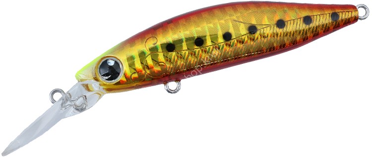 DAIWA Morethan BaySole Minnow 73S DR #Burning Gold Iwashi
