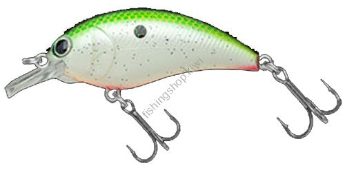 NORIES Shot Shallow Square 55 274 US GREEN SHAD