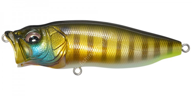 MEGABASS PopMax #079 PM Wild Gill