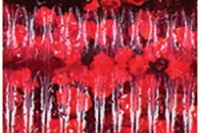 SMITH Gary Yamamoto Baby Fat Ika 80mm 6.0g #009 Red/Red Flake (8pcs)