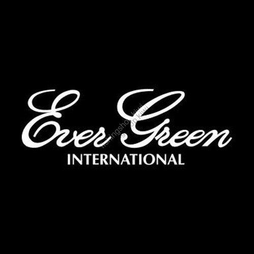 EVERGREEN Boat Decal L White