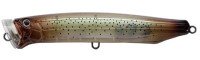 TACKLE HOUSE Feed. Popper CFP120 #20 Squid