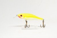 CALYPSO Fantom F8 1.2m SFC