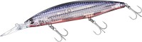 DAIWA Shoreline Shiner Z Setupper FB 125SDR-LI #LI Katakuchi Red Belly