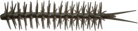 HIDE-UP Koike Straight Elastomer 140mm #243 Tamaranbai Dark Shrimp