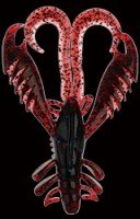 BAIT BREATH Virtual Craw 3.6 S147 Dark Red / Blue