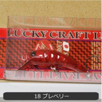 OFFICE EUCALYPTUS Wah 37F #18 Pre Belly