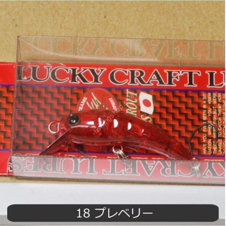 OFFICE EUCALYPTUS Wah 37F #18 Pre Belly