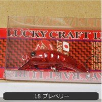 OFFICE EUCALYPTUS Wah 37F #18 Pre Belly