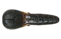 ISSEI AK Punch 3.3'' #65 Dark Pumpkin BLF