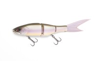 OTHER BRANDS GALAPAGOS Grace 240F #1 Biwako SPEC