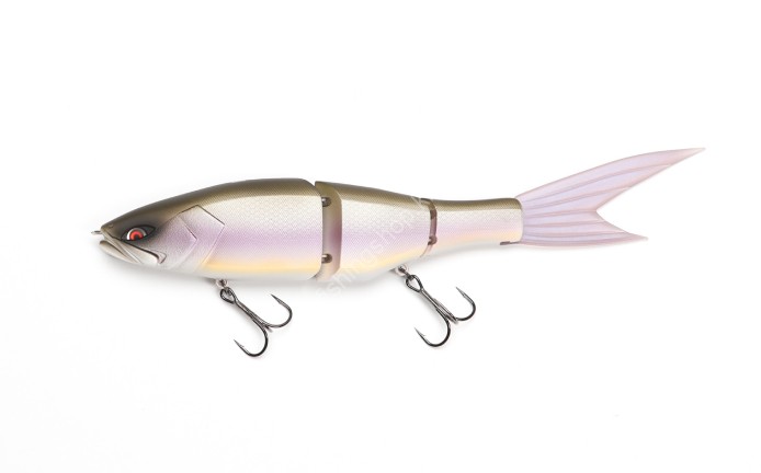 OTHER BRANDS GALAPAGOS Grace 240F #1 Biwako SPEC