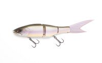 GALAPAGOS Grace 240F #1 Biwako SPEC
