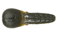 ISSEI AK Punch 3.3'' #69 Kuishiburi Pumpkin