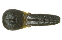 ISSEI AK Punch 3.3'' #69 Kuishiburi Pumpkin