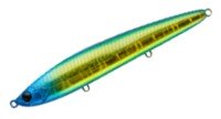 APIA Balene 160FL #4 Triple Blue Gold