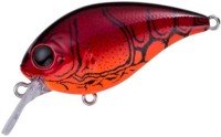 PAY FORWARD One Eight SR #004 Red Craw