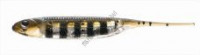 FISH ARROW Flash-J 2 #24