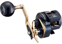 DAIWA 21 Saltiga IC 300L