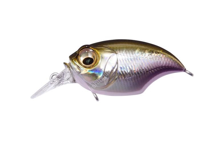 MEGABASS SR-X Griffon 43F 7.1g #GG Wakasagi