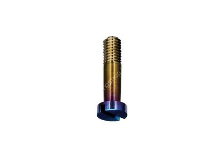 M.T.C.W. Line Roller Arm Titanium Screw for LT Daiwa