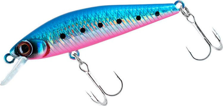 DAIWA Kamasu Hunter Minnow 50S # Blue Pink Iwashi