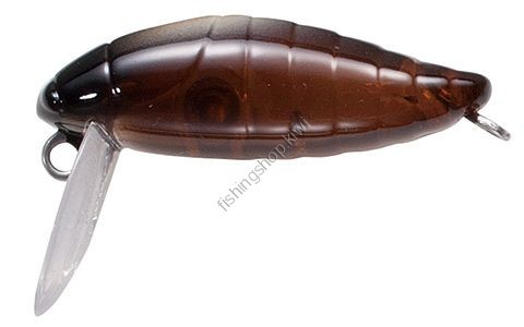 TACKLE HOUSE Mini Cicada2 Aurora Brown