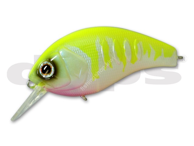 DEPS Korrigan Magnum 150 Rattle In #10 Chart Oikawa