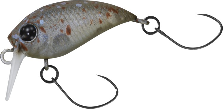 DAIWA Presso WabCra Jr. 25SS SR #Splash Olive Pearl