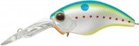 EVERGREEN Wildhunch8 Eight-footer #271 Champion Shad