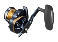 DAIWA 25 Saltiga 10HL