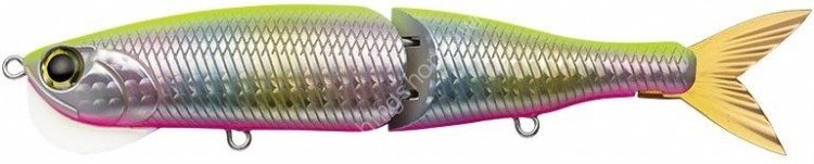 EVERGREEN Seadrive Rattlin' Bone #824 Chart Candy Pink Belly (Y)