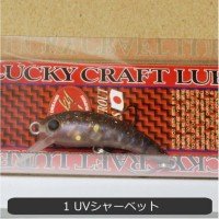 OFFICE EUCALYPTUS Wah 37F #01 M UV Sherbet