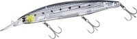 DAIWA Shoreline Shiner-Z Set Upper 145SDR-LI #LI Iwashi