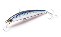 JACKSON Pintail EZ 28g SRI Akachirai Sardine