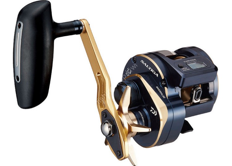 DAIWA 21 Saltiga IC 300HL-SJ