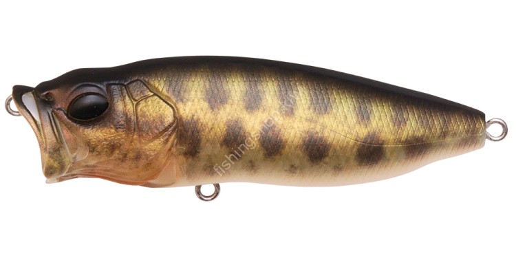 MEGABASS Popmax #FA Baby Raigyo