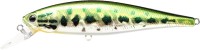 LUCKY CRAFT Pointer 100SP #Aurora Bass