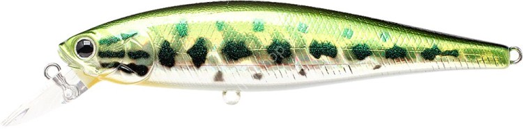 LUCKY CRAFT Pointer 100SP #Aurora Bass