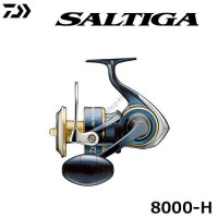 DAIWA 20 Saltiga 8000-H