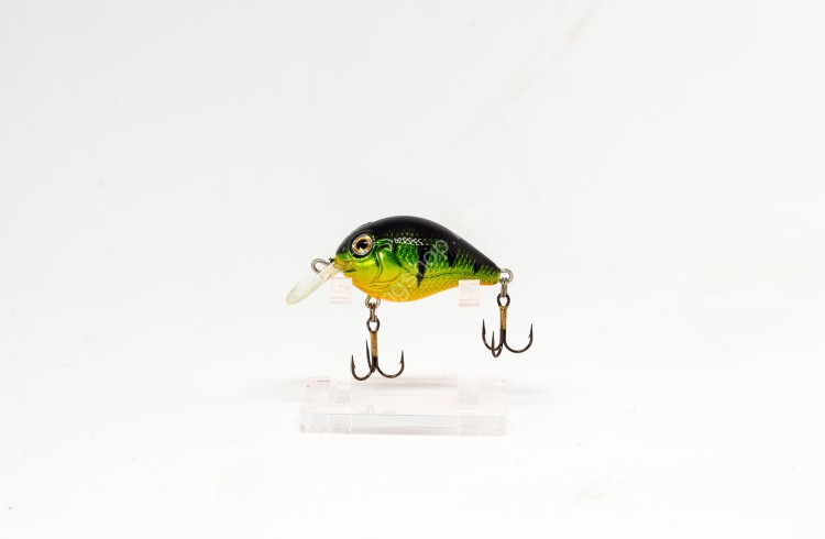 CALYPSO Chub CH318 PG