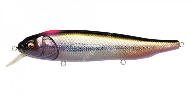 MEGABASS Lates FeedingWoofer #DD Indicator Shiner