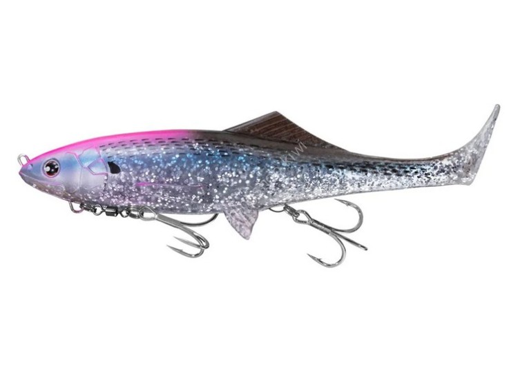 DAIWA Morethan Sail Upper 165F #Pink Konoshiro