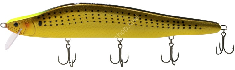 HIDE-UP HU-Perrer 248 Salt Color #S-29 Chart Head Gold Konoshiro