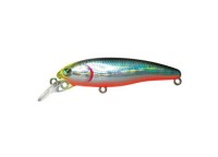 HALCYON SYSTEM Moonworm 66 SR #24 Sappa-R