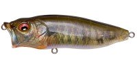 MEGABASS Popmax # FA Gill